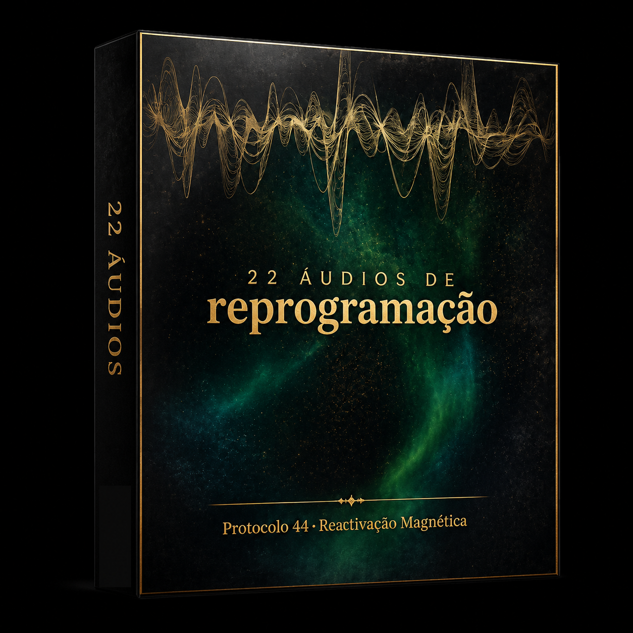 22 audios de reprogramación